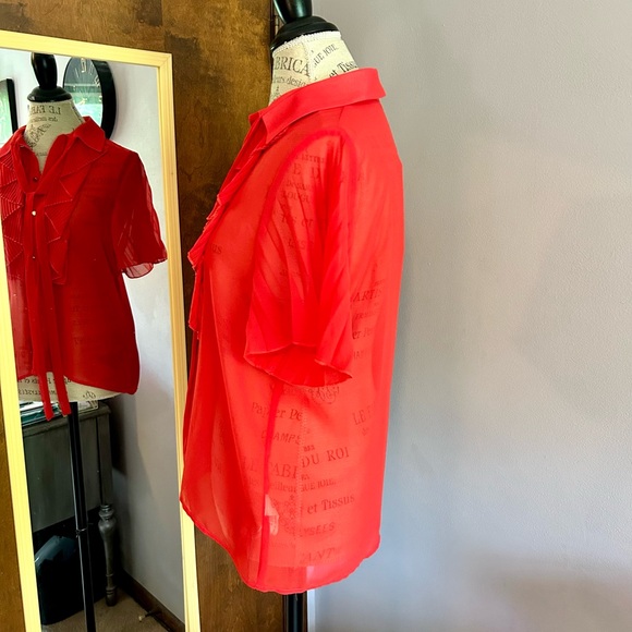 Zara Red Ruffle Blouse - Picture 9 of 14